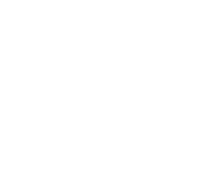 TZ Service